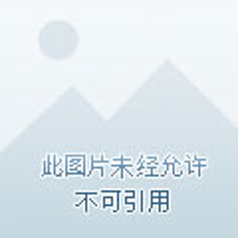 安联网：构建万物互联的安全屏障